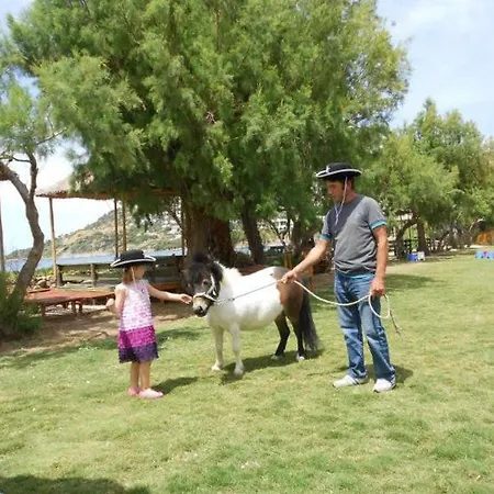 Equestrian And Club מוטל בודרום