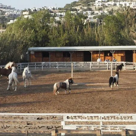 Equestrian And Club 博德鲁姆