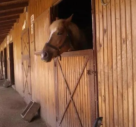 Equestrian And Club *