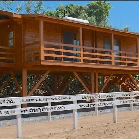 Motel Equestrian And Club *