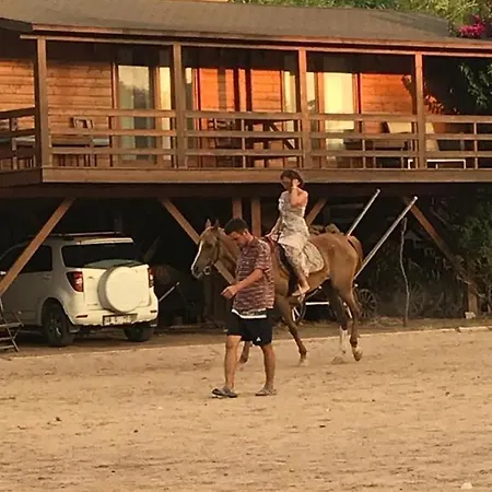 Equestrian And Club Motel *