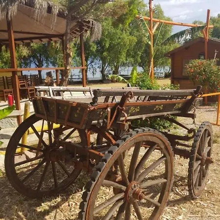 Motel Equestrian And Club *